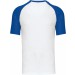 color:white/royal blue