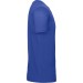 color:cobalt blue