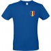 color:royal blue
