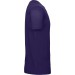 color:urban purple
