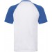 color:white/royal blue