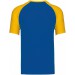 color:royal blue/yellow