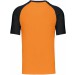 color:orange/black