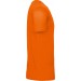 color:orange