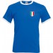 color:royal blue/white