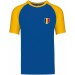 color:royal blue/yellow