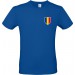 color:royal blue