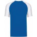 color:aqua blue/white